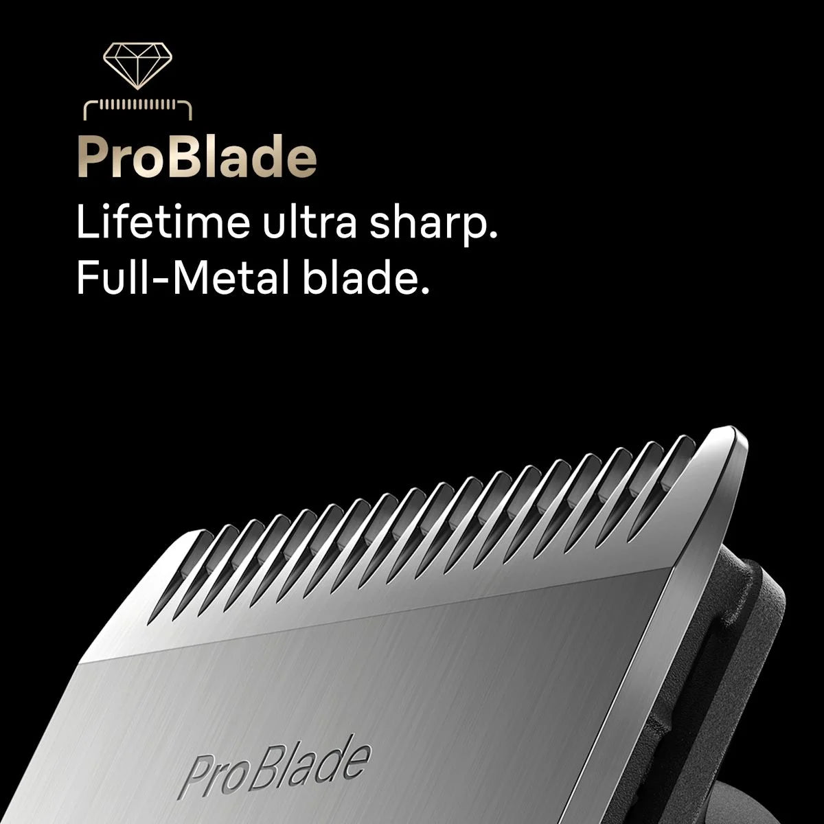 braunshaver.it.com