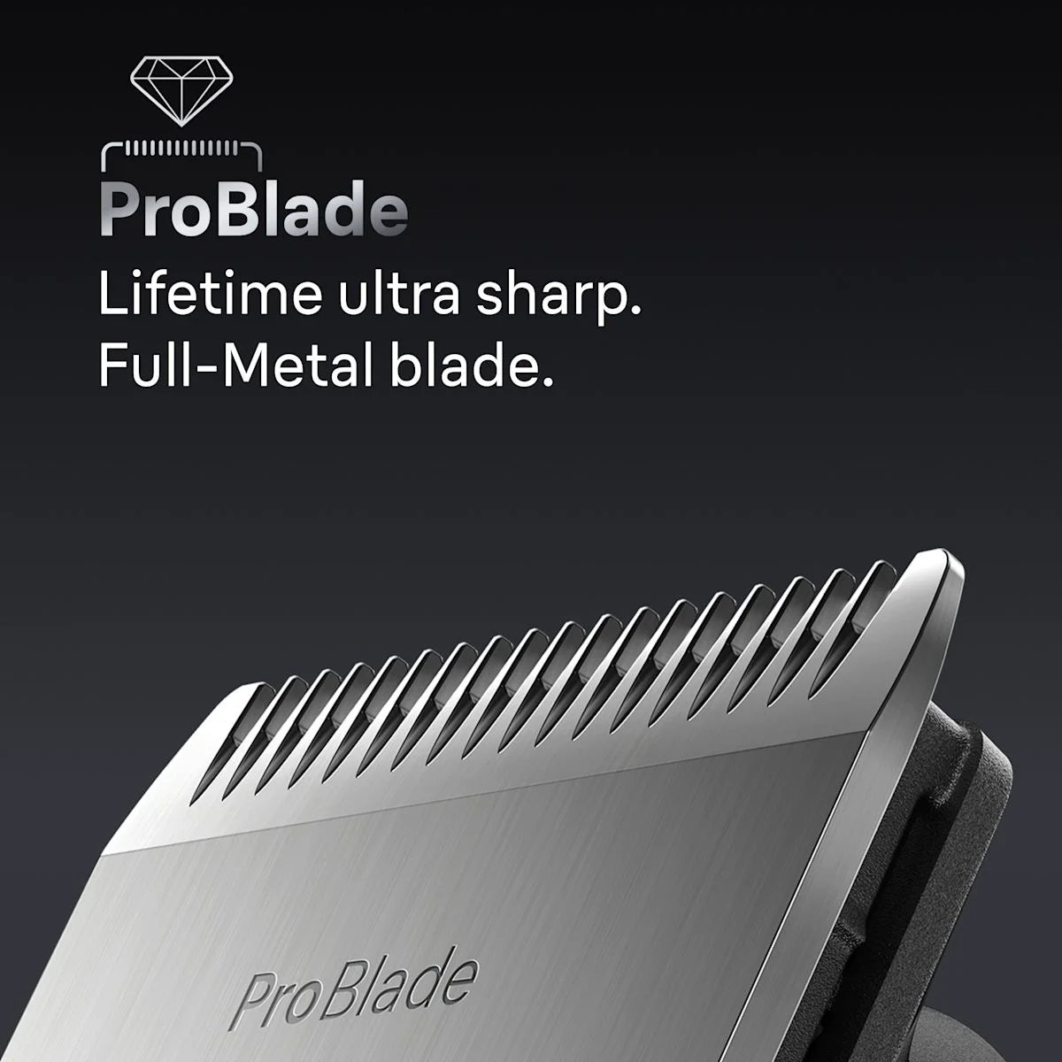 braunshaver.it.com